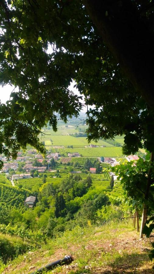 Seven Suites Pieve Pieve di Soligo Exterior foto